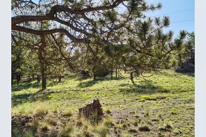 314 Arrowhead Drive, Florissant, CO 80816 - Photo 18