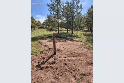 314 Arrowhead Drive, Florissant, CO 80816 - Photo 26