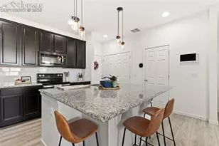 9238 Delgany Point, Colorado Springs, CO 80927 - Photo 10