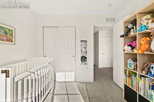 9238 Delgany Point, Colorado Springs, CO 80927 - Photo 24