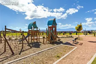 9238 Delgany Point, Colorado Springs, CO 80927 - Photo 34