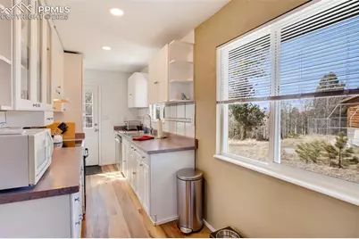 201 Dillon Lane, Florissant, CO 80816 - Photo 6