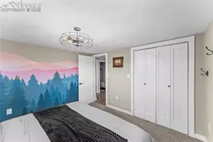 80 Hobe Creek Trail, Florissant, CO 80816 - Photo 24