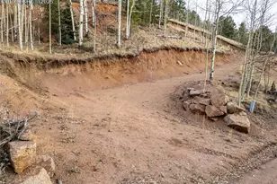 276 Granite Ln, Cripple Creek, CO 80813 - Photo 1