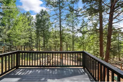 145 Grizzley Peak Road, Florissant, CO 80816 - Photo 46