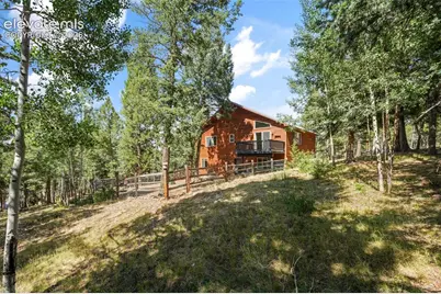 145 Grizzley Peak Road, Florissant, CO 80816 - Photo 44