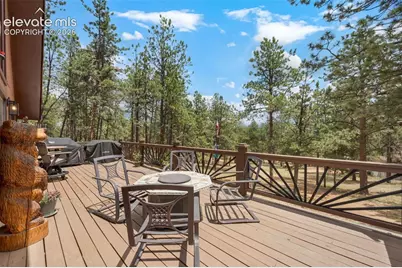 153 Arrowrock Circle, Florissant, CO 80816 - Photo 30