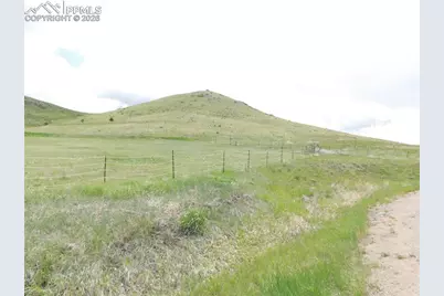 11972 Haskel Creek Road, Larkspur, CO 80118 - Photo 4
