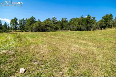 331 Grandwood Drive, Monument, CO 80132 - Photo 18