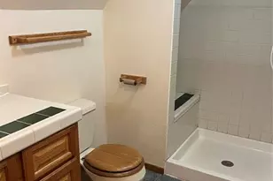 646 Grey Eagle Dr, Cripple Creek, CO 80813 - Photo 10