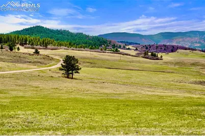 2801 Verbena Drive, Larkspur, CO 80118 - Photo 4