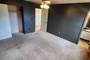 548 Lindstrom Dr, Colorado Springs, CO 80911 - Photo 8