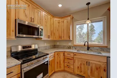 748 Pinewood Road, Florissant, CO 80816 - Photo 20