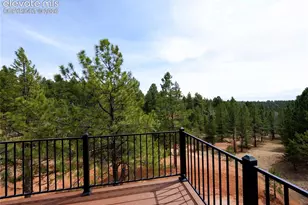 748 Pinewood Rd, Florissant, CO 80816 - Photo 14