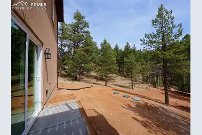 748 Pinewood Road, Florissant, CO 80816 - Photo 32