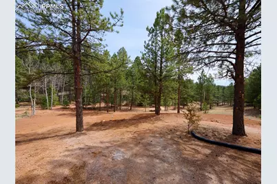 748 Pinewood Road, Florissant, CO 80816 - Photo 34