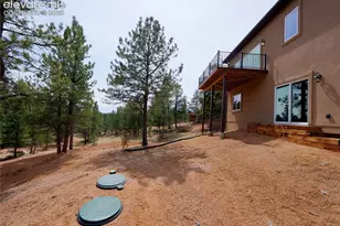 748 Pinewood Rd, Florissant, CO 80816 - Photo 38