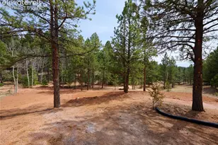 748 Pinewood Rd, Florissant, CO 80816 - Photo 40