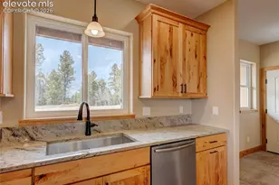 748 Pinewood Rd, Florissant, CO 80816 - Photo 22