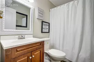 10065 Litchfield St, Peyton, CO 80831 - Photo 42