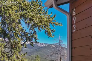 493 Horseshoe Dr, Divide, CO 80814 - Photo 10