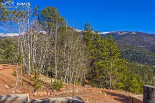 493 Horseshoe Dr, Divide, CO 80814 - Photo 12