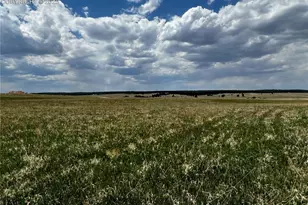 11970 Woodridge Terrace, Colorado Springs, CO 80908 - Photo 16