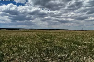 11970 Woodridge Terrace, Colorado Springs, CO 80908 - Photo 16