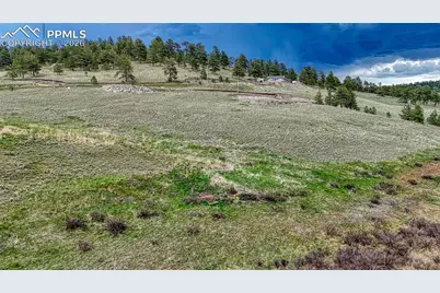 315 Empire Road, Florissant, CO 80816 - Photo 8