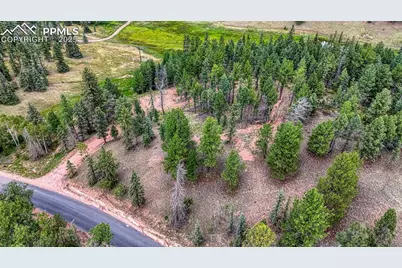 18 Falcon Circle, Florissant, CO 80816 - Photo 28