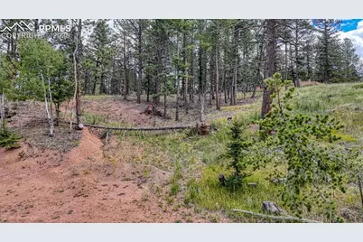 18 Falcon Circle, Florissant, CO 80816 - Photo 6