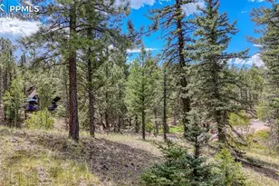 18 Falcon Cir, Florissant, CO 80816 - Photo 1