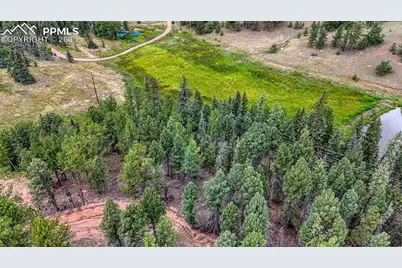 18 Falcon Circle, Florissant, CO 80816 - Photo 30