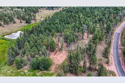 18 Falcon Circle, Florissant, CO 80816 - Photo 34