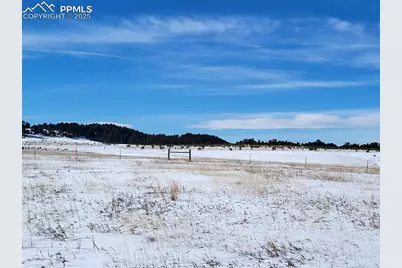 19250 Mariah Trail, Colorado Springs, CO 80908 - Photo 2