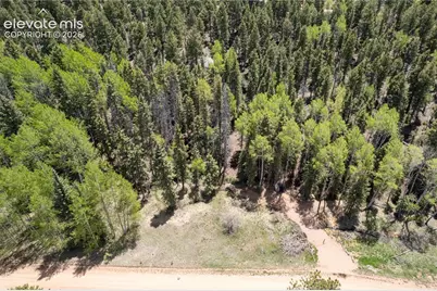 546 Spring Valley Lane, Florissant, CO 80816 - Photo 12