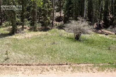 546 Spring Valley Lane, Florissant, CO 80816 - Photo 4