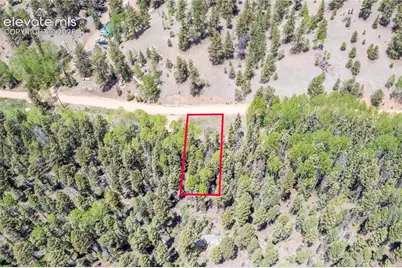 546 Spring Valley Lane, Florissant, CO 80816 - Photo 8