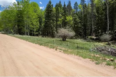 546 Spring Valley Lane, Florissant, CO 80816 - Photo 2
