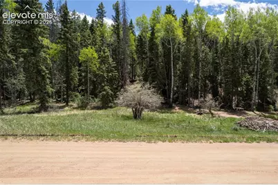 546 Spring Valley Lane, Florissant, CO 80816 - Photo 1
