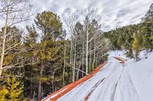 165 Witherite Dr, Divide, CO 80814 - Photo 1