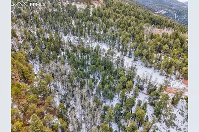 165 Witherite Drive, Divide, CO 80814 - Photo 10