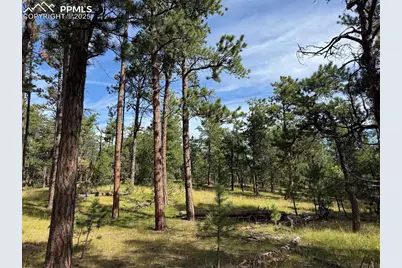 17405 E Goshawk Road, Colorado Springs, CO 80908 - Photo 8