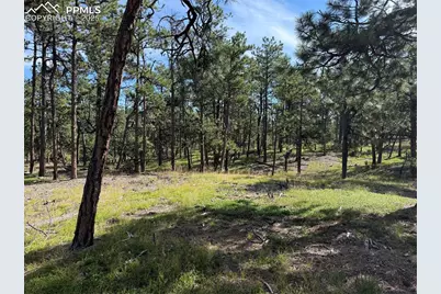 17405 E Goshawk Road, Colorado Springs, CO 80908 - Photo 4