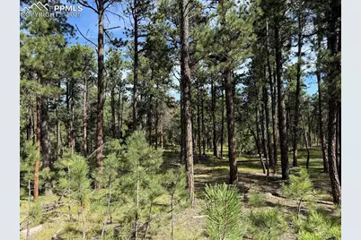 17405 E Goshawk Road, Colorado Springs, CO 80908 - Photo 6