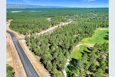 14431 Quartz Creek Drive, Colorado Springs, CO 80908 - Photo 4