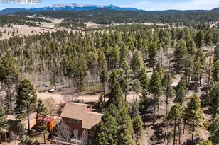 351 Porphry Rd, Divide, CO 80814 - Photo 4