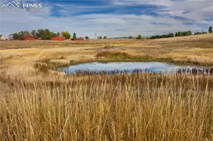 8115 Mustang Rd, Colorado Springs, CO 80908 - Photo 4