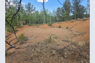 1124 Yorktown Road, Cripple Creek, CO 80813 - Photo 6
