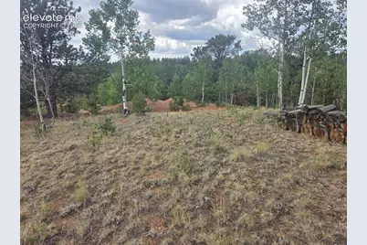1124 Yorktown Road, Cripple Creek, CO 80813 - Photo 4